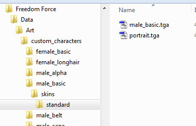 folders for skins and meshes